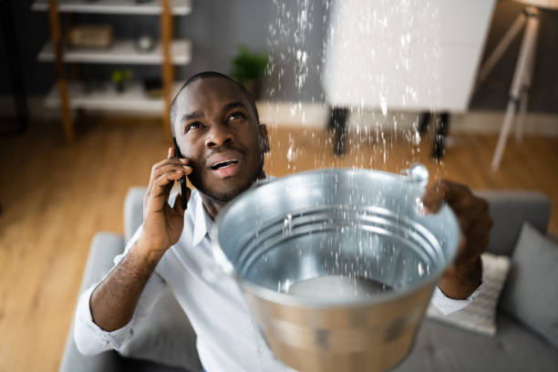 Best Professional water damage repair  in Grove City, PA