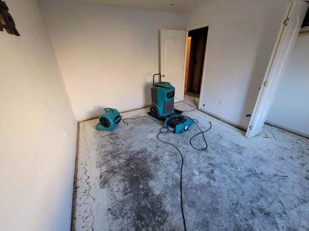 Best Water damage restoration near me  in Grove City, PA