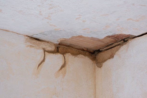 Best 24/7 water damage repair  in Grove City, PA