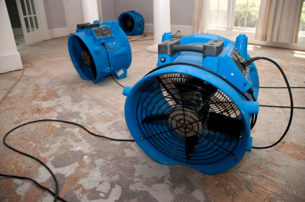 Best Sewage cleanup and water damage restoration  in Grove City, PA