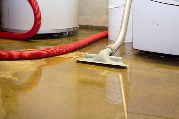 Best Carpet water damage restoration  in Grove City, PA