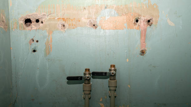 Best Water damage repair service  in Grove City, PA