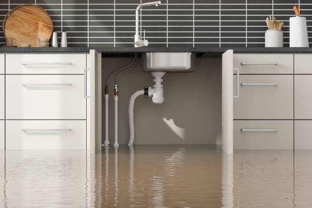 Best Ceiling water damage repair  in Grove City, PA