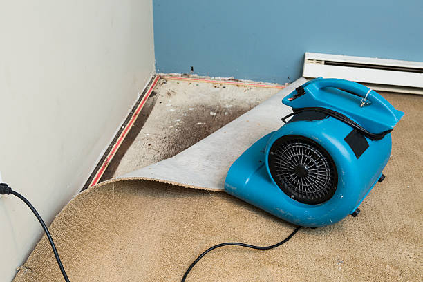 Best Ceiling water damage repair  in Grove City, PA